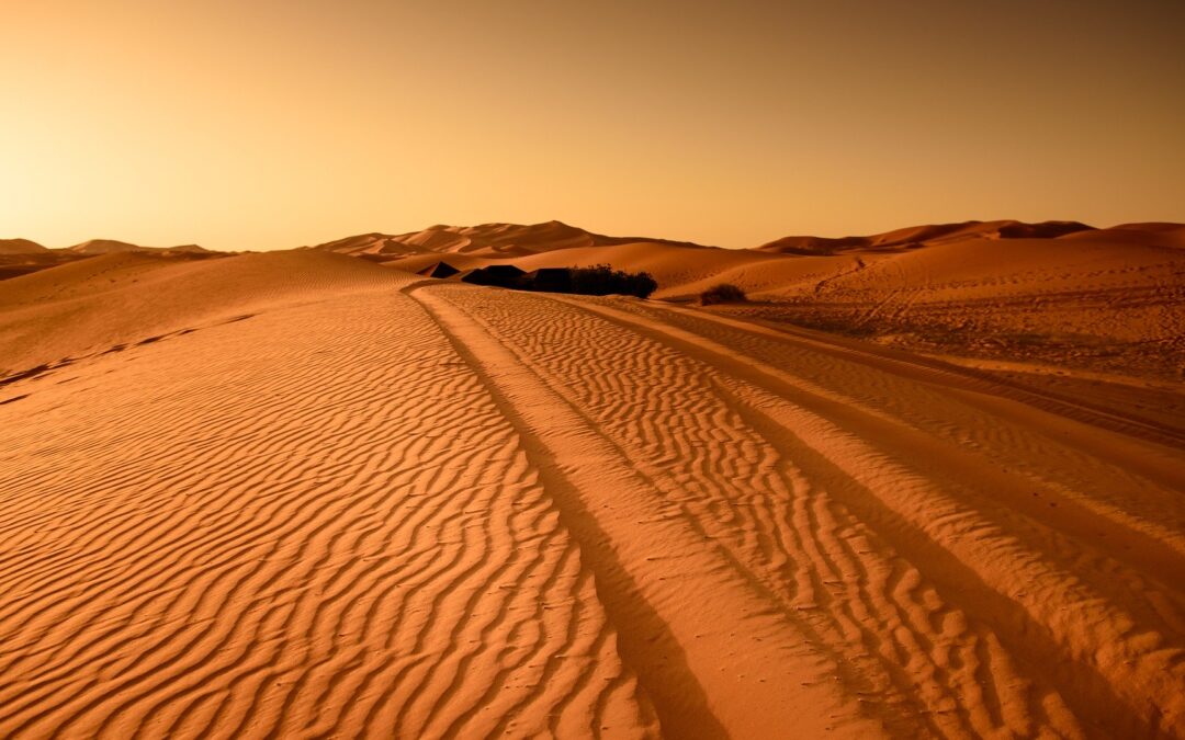 Actividades en el desierto
