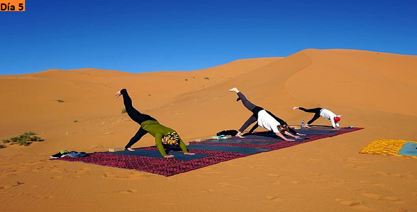 Yoga en el Desierto
