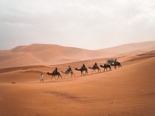 5 días Marrakech-Desierto