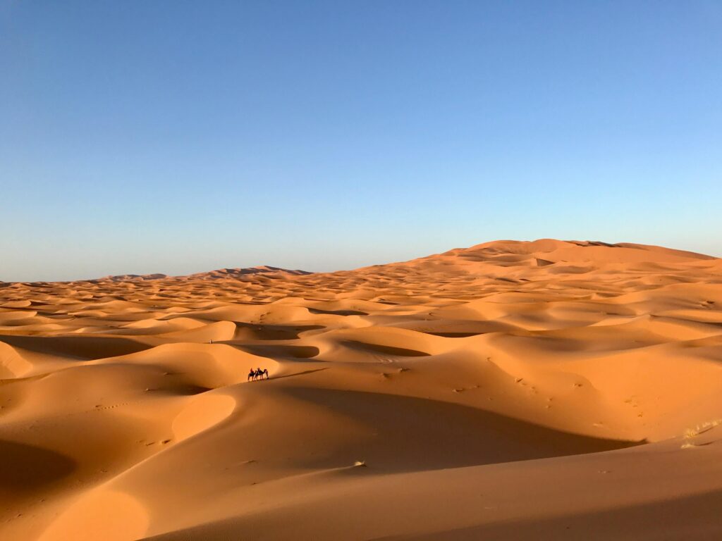 Descubre la guía definitiva para visitar Erfoud y sus alrededores con ...