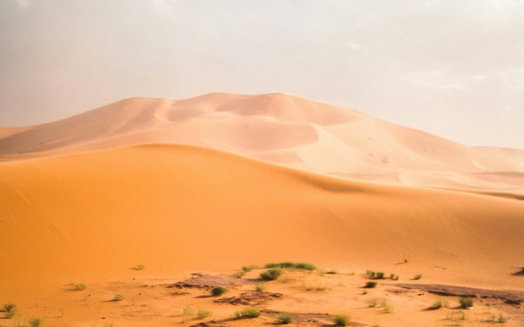 Calzado adecuado para recorrer Erfoud y el desierto: consejos prácticos