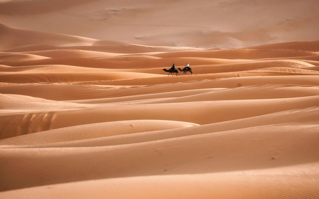 Excursión en 4×4 por las Gargantas del Todra: un paraíso natural