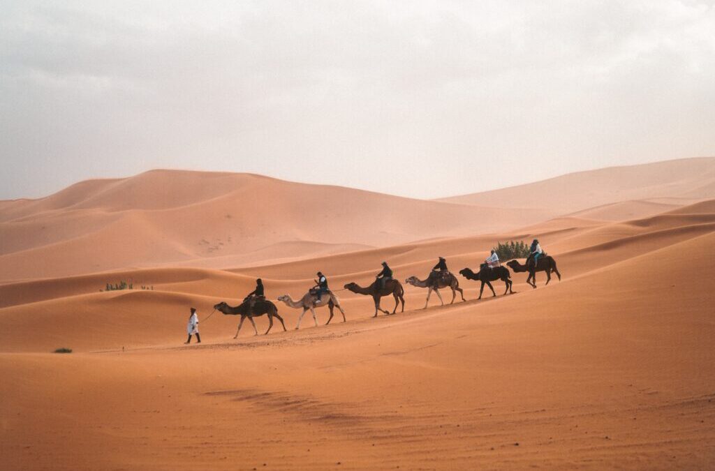 Mejores guías locales para un tour por el desierto de Marruecos